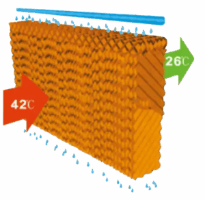 پد سلولزی با راندمان بالا